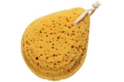 Eponge-de-bain.jpg Éponge de bain (weebaby)